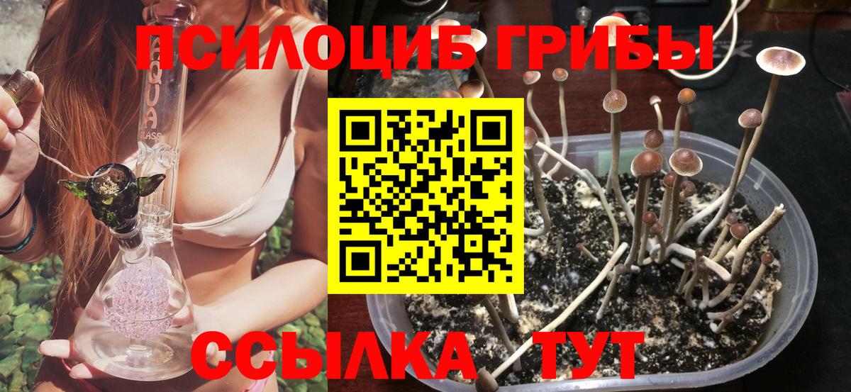 Галлюциногенные грибы Cubensis Сатка